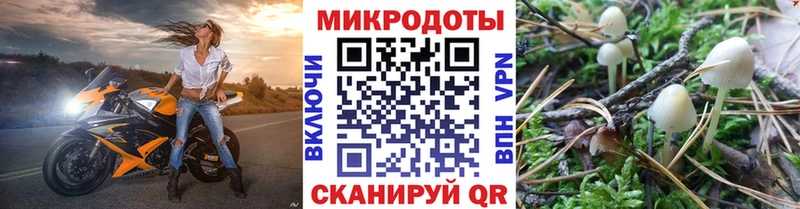 Псилоцибиновые грибы GOLDEN TEACHER  hydra   Ярославль  как найти  