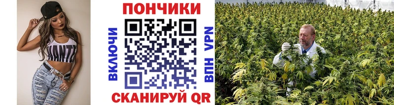 дарнет шоп  Ярославль  площадка состав  Бошки марихуана конопля 
